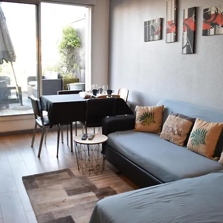 Superbe 3 Pieces Avec Terrasse 50 M2 10 Minutes A Pieds Du Centre 2 Chambres Et Un Salon